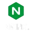 Logo nginx
